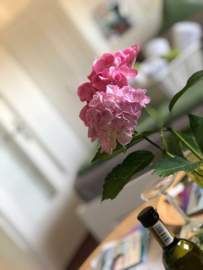 Ferienwohnungen Wyk/Foehr Wyk auf Föhr エクステリア 写真